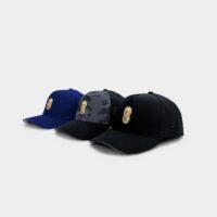 idia-cap-1