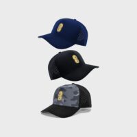 idia-caps3