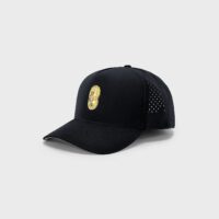idia-caps4